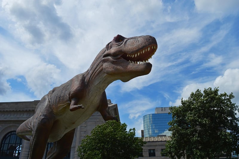 Ancient Dinosaur Fossil